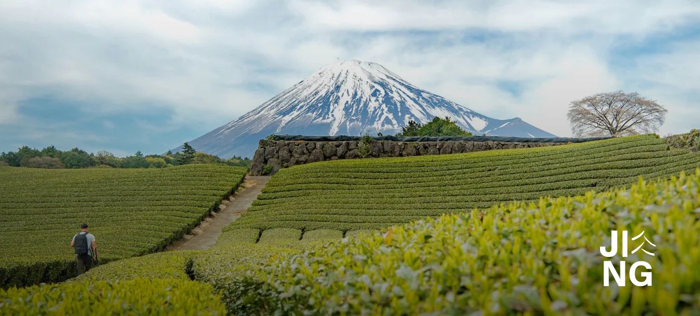 JING Tea | Vícesystémový manažerský reporting napříč úplnou výměnou technologického stacku